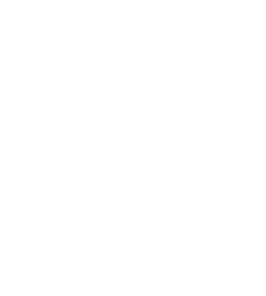Charleston Electric